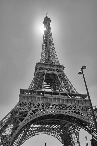 Paris   |   6  /  26   |